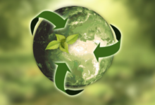 Helping Projects Succeed Without Harming the Environment