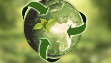 Helping Projects Succeed Without Harming the Environment