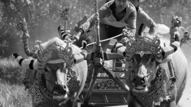 competitive analysis overview report