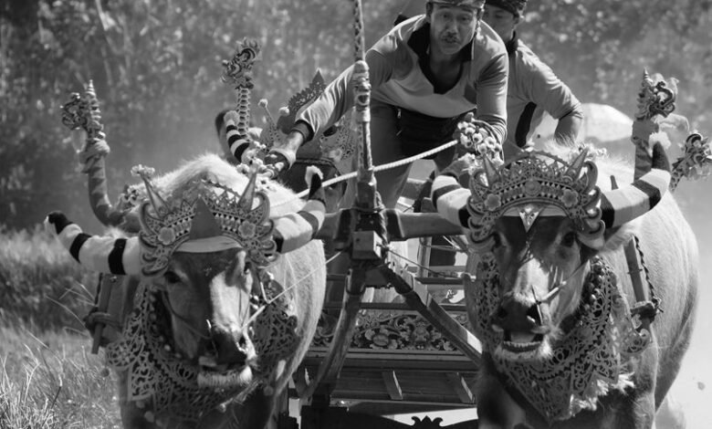 competitive analysis overview report