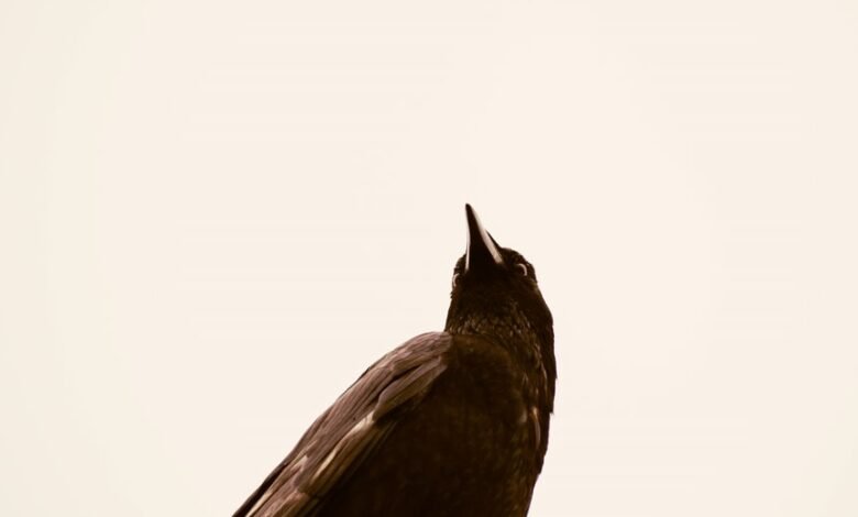 enterprise intelligence impact study