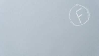 sector performance evaluation report