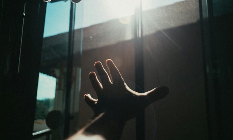 digital exposure optimization tool