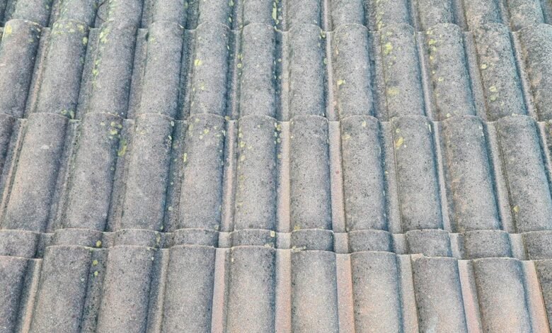 growth visibility exposure system