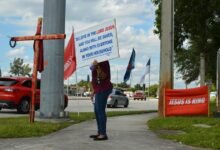 harborline signal node frame