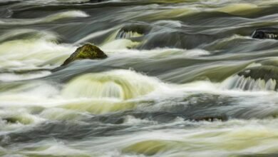 momentum core expansion flow