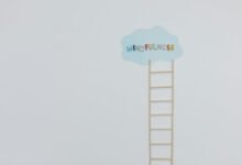 nova path growth strategy