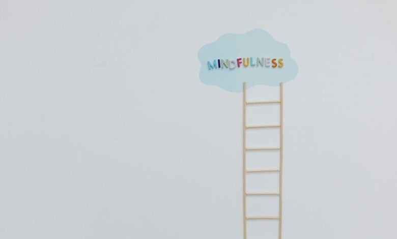 nova path growth strategy