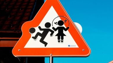 safety alerts and insights