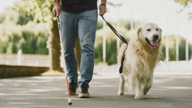 trusted tech assistance hotline