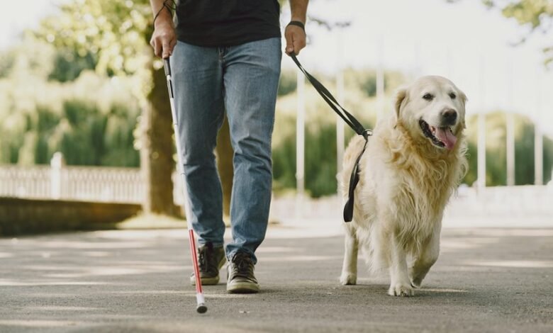 trusted tech assistance hotline